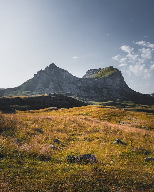 UTA Local Experience